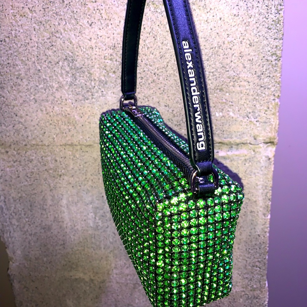 Alexander wang bag